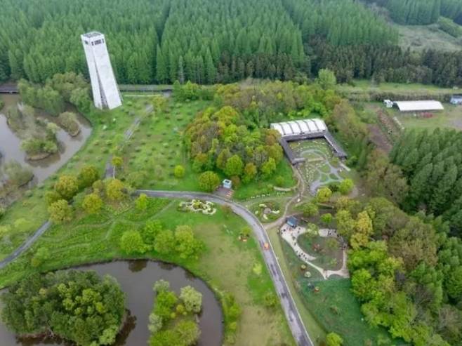 이색 대회인 ‘잠자기 대회’가 열리는 중국 상하이 동핑 국가 삼림공원. 지무신문 캡처