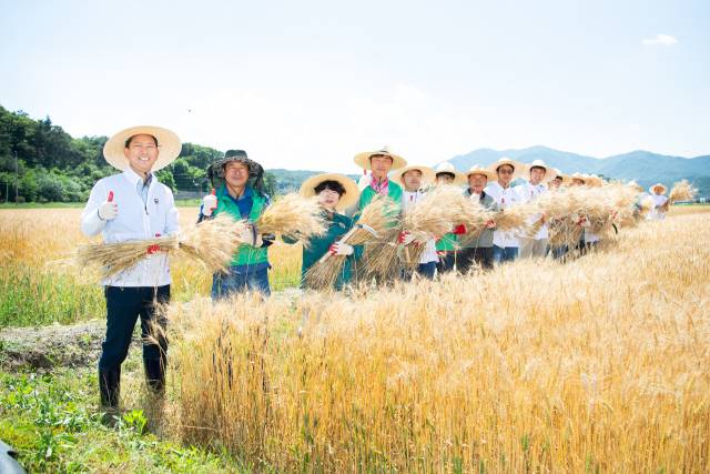 김장호(맨 왼쪽) 구미시장과 소상공인 등이 우리밀을 수확한 뒤 기념촬영을 하고 있다. 구미시 제공