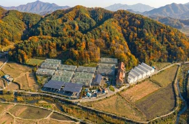 임산물 스마트팜 실증단지 조성 예정지 전경. /경북도 제공