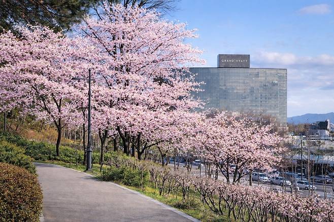 사진 = 그랜드 하얏트 서울