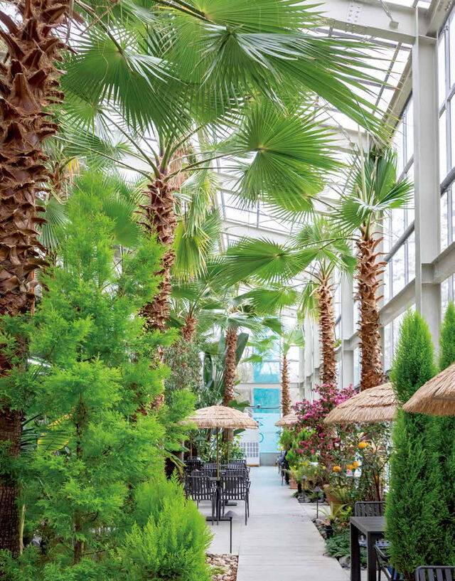 ‘온실리움’의 핵심 공간인 ‘트로피컬 온실’ 내부. 어느 계절에나 푸르른 식물을 바라보며 여유를 즐길 수 있다