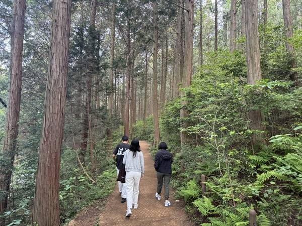 통영 미래사 편백나무숲길 . /이서후 기자