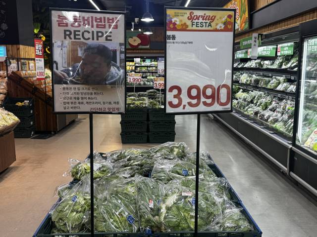 올해 3월 초 창원의 한 대형마트 봄동 매대. 가격 안내표 옆에 봄동비빔밥 레시피가 함께 붙어 있다./이하은 기자/