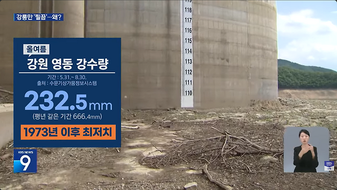 2025년 8월 31일 KBS 뉴스9 화면