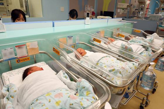 경기 고양시 일산차병원 신생아실에서 아기들이 잠을 자고 있다. 뉴스1