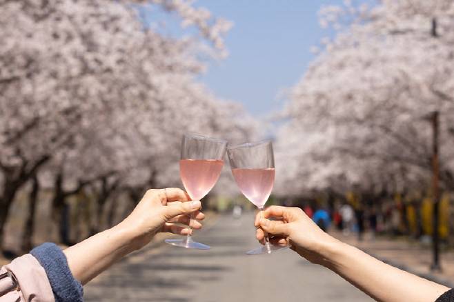 켄싱턴호텔 여의도 앞 벚꽃길 나들이 이미지