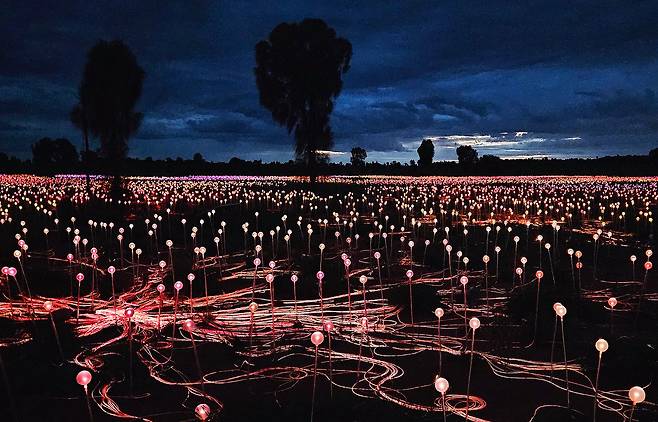 울루루 인근 아웃백에 설치한 브루스 먼로의 조명 작품 ‘필드 오브 라이트.’