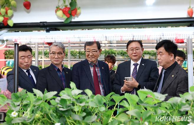 충남도의회 논산세계딸기산업엑스포 지원 특별위원회(위원장 윤기형, 이하 특위)는 지난 26일 제28회 논산딸기축제 개막식에 참석해 운영 전반을 점검했다.
