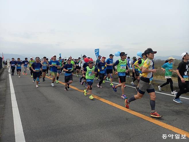 도쿠시마 요시노강변을 달리는 도쿠시마 마라톤 대회 참가자들.