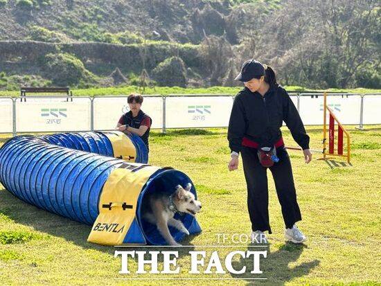 '반려마루 화성'에서 어질리티 교육이 진행되고 있는 모습. /경기도