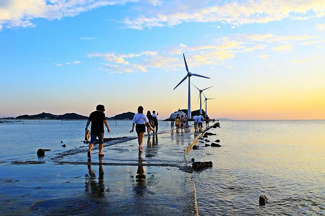 경기 안산시 탄도항 갯벌길