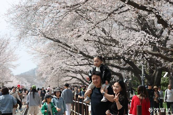 전국 최대 벚꽃 축제인 ‘제64회 진해군항제’가 개막한 가운데 경남 창원 진해구 경화역을 찾은 관광객들이 휴일인 29일 오전 벚꽃을 감상하고 있다. 변영욱 기자 cut@donga.com