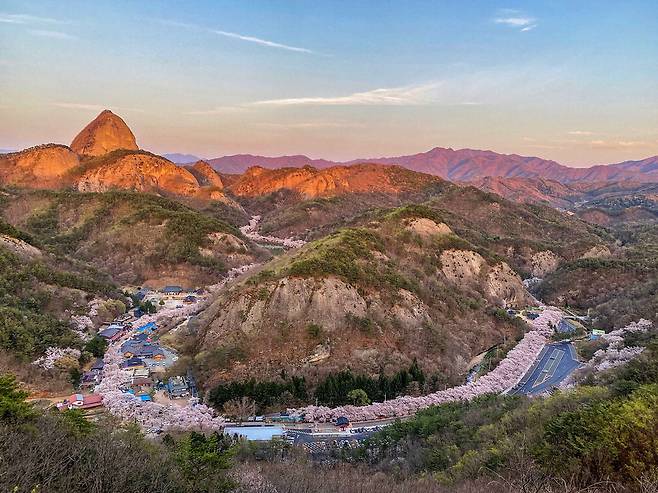 진안 마이산 십리벚꽃길. 한국관광공사