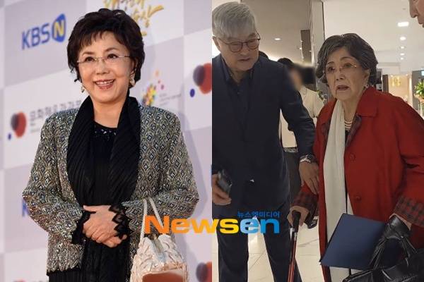 사미자/뉴스엔DB, 한지일 계정 캡처