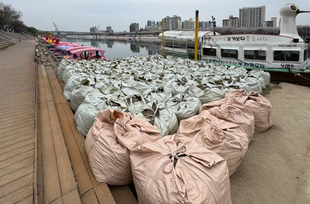 30일 대구 동촌유원지 오리배 선착장 한 편에 목재 데크 잔해와 토사를 담은 포대가 방치돼 있다. 우태욱 기자 woo@imaeil.com