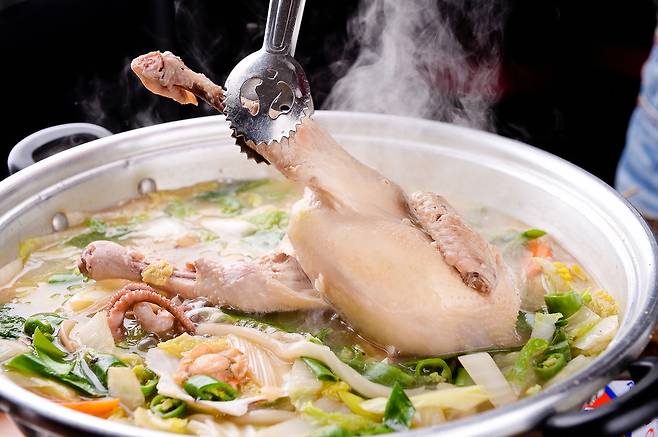 닭 한마리(게티이미지뱅크)