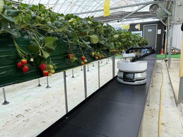 강남구가 '제3회 로봇(AI) 테스트베드 공모사업'에 참여할 기업을 모집한다. /강남구