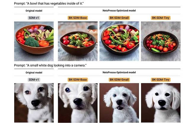 넷츠프레소를 활용해 스테이블디퓨전 모델을 압축한 예시, 오리지널 모델(SDM-v1)이 왼쪽이고 Base는 표준, Small은 더 작은 모델, Tiny는 극한 모델이다. 원본과 비교해 품질의 차이는 있지만 적당히 성능은 유지하면서 결과물을 내는 것이 모델양자화의 목적이다 / 출처=노타