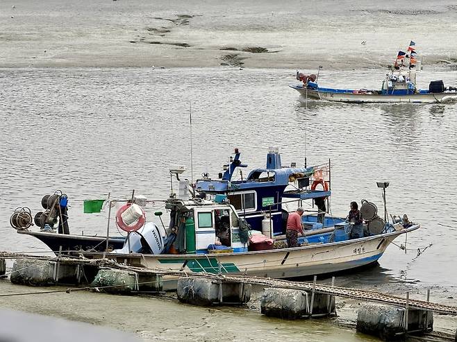 ▲ 30일 오전 인천 남동구 소래포구에서 조업을 마친 어민이 그물을 정리하고 있다.