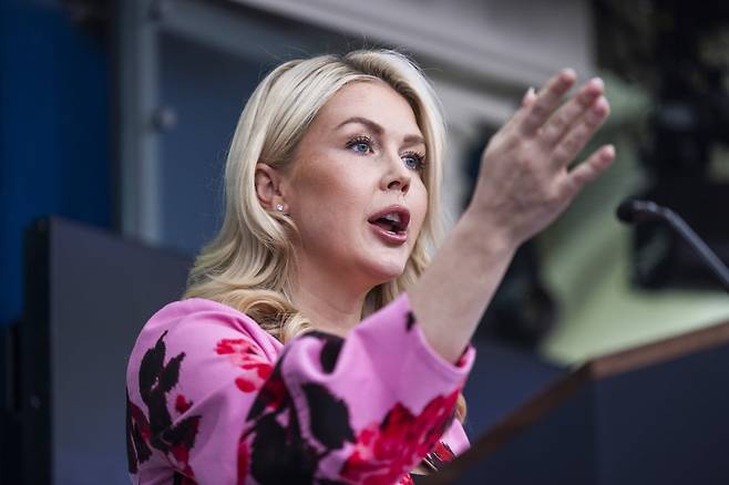 캐럴라인 레빗 백악관 대변인이 30일(현지시간) 정례 브리핑에서 발언하고 있다. /EPA연합뉴스