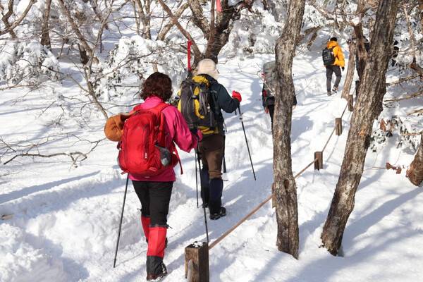 2025년 1월 14일 한라산 등산로 입구인 성판악에서 진달래밭 대피소로 이어진 산길. 겨울치고는 바람 없이 온화한 날씨에 스패츠를 착용하지 않아도 될 정도로 완벽한 산길이었다.