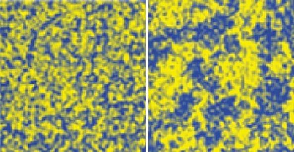 왼쪽은 임계점 온도보다 높아 한종류 상태인 물을, 오른쪽은 임계점 이하에서 두 종류로 나뉜 상태 물을 표현한 모식도다. /포스텍
