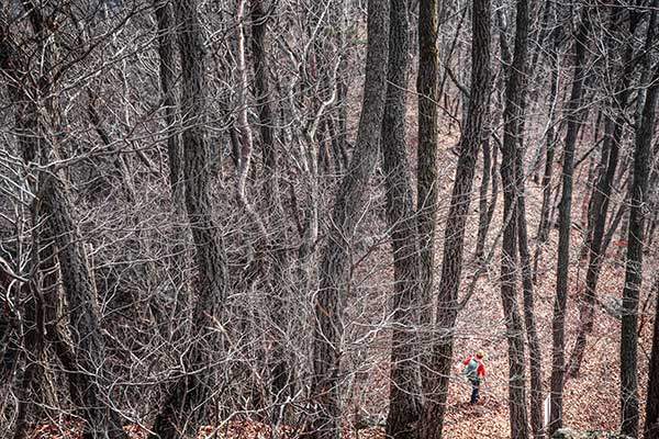 봄이 더디 오는 걸까. 사람의 계절감이 빠른 걸까. 기온은 올랐으나 칠갑산 능선은 앙상하다. 장곡리에서 삼형제봉으로 이어진 능선길은 마주치는 사람 없이 고요하다.