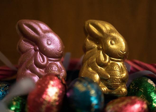 벨기에인의 정체성과 다산의 의미를 담아 부활절의 상징으로 자리 잡은 토끼 초콜릿. 픽셀즈