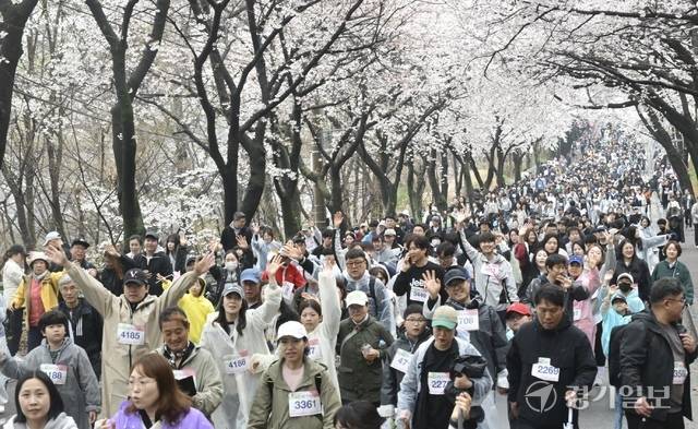 4일 평택시 이충레포츠공원 광장에서 열린 ‘2026 평택시민 건강걷기대회’를 찾은 시민들이 만개한 벚꽃을 즐기고 있다. 조주현기자