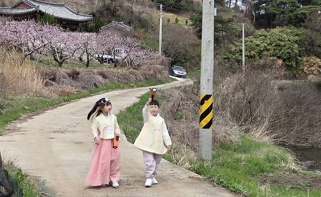 ▲ 제16회 영천복사꽃 전국사진촬영대회 어린이 모델이 복사꽃 길을 걷고 있다. 권오석 기자