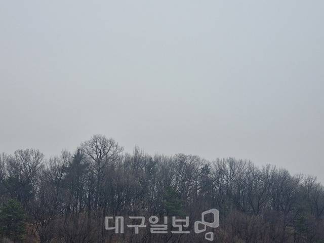 미세먼지가 주택가 인근에도 기승을 부리고 있다.(박성윤 기자)