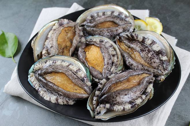 전남 완도군 전복. 완도군 제공