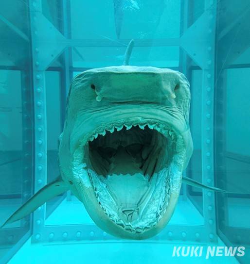 데미안 허스트, 살아있는 자의 마음 속 죽음에 물리적 불가능성(The Physical Impossibility of Death in the Mind of Someone Living), 1991, 유리, 채색된 철, 실리콘, 모노필라멘트, 포름알데히드 수용액, 217 x 542 x 180cm, 개인 소장