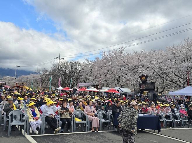 ▲ 청도군 각북면이 4일 각북벚꽃길 주차장 일원에서 '제7회 각북 벚꽃축제'를 개최하고 있다. 장재기 기자