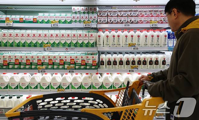 고환율과 이상기후, 원재료 가격 상승으로 새해 '식탁 물가'에 비상이 걸렸다. 가공식품·외식·농수산물 등이 먹거리 물가 상승을 주도하고 있다. 사진은 8일 서울시내의 한 대형마트에서 고객이 우유를 고르는 모습. 2026.1.8 ⓒ 뉴스1 오대일 기자