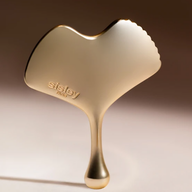 징코 과샤 (괄사)