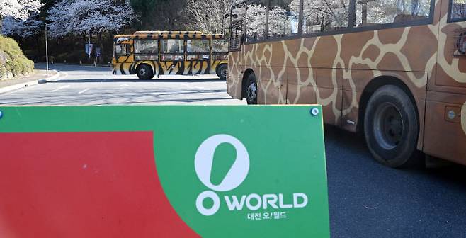 8일 대전오월드에서 늑대가 사육장 밖으로 탈출하면서 이날 오월드 시설이 완전히 폐쇄됐다. (사진=이성희 기자)