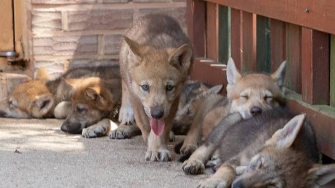 기사와 직접적 관련 없는 사진 ⓒ연합뉴스