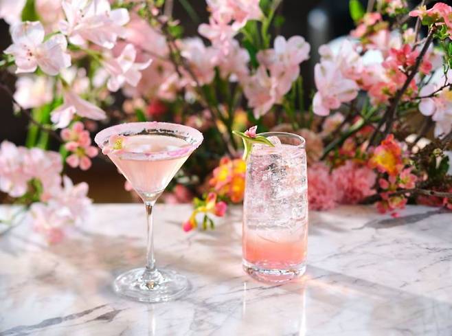 시그니엘 서울, 벚꽃 칵테일 2종. 롯데호텔앤리조트 제공