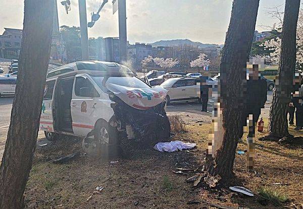 /사진=강원소방본부