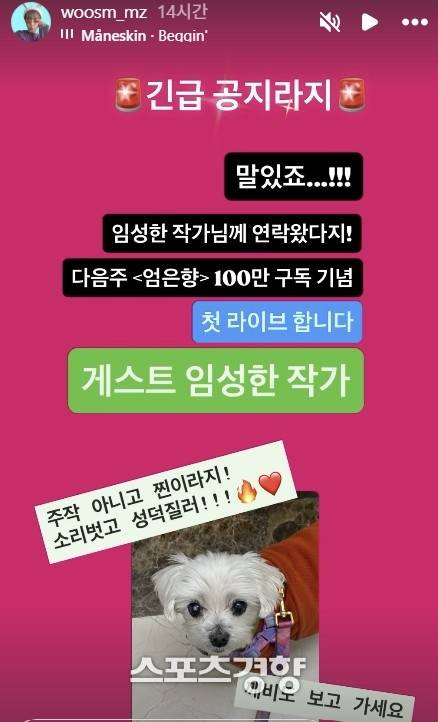 유튜버 엄은향 인스타그램 계정