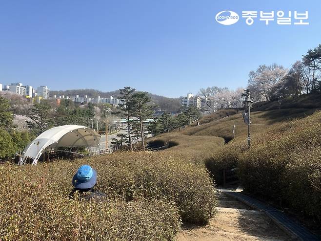 오는 18~19일 군포 철쭉축제 개최가 예정된 철쭉동산 모습. 천민형기자