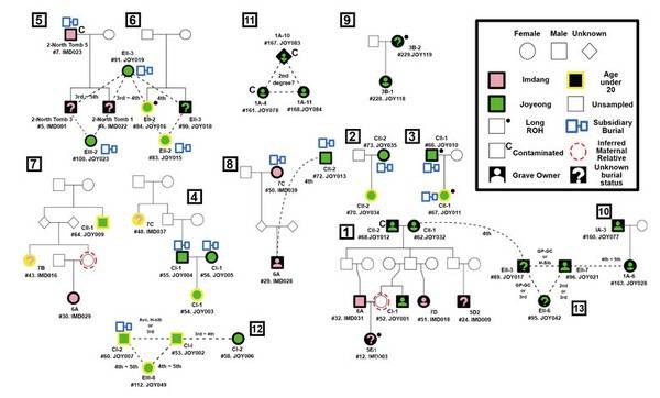 DNA 분석을 통해 본 임당동·조영동 고분군 피장자들의 친족 관계. 영남대학교 제공