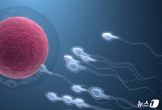 ⓒ 뉴스1 양혜림 디자이너