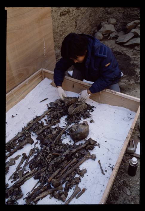 임당동 고분군 인골 출토 및 수습 장면. 김대욱 학예연구원 제공