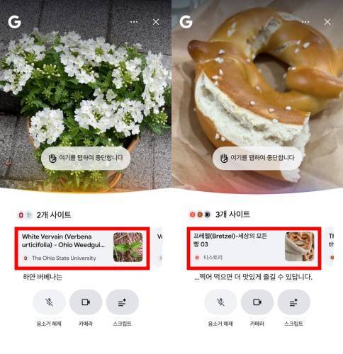 길가에 놓인 꽃과 구입한 빵도 서치 라이브를 활용해 궁금증을 해소할 수 있다 / 출처=IT동아