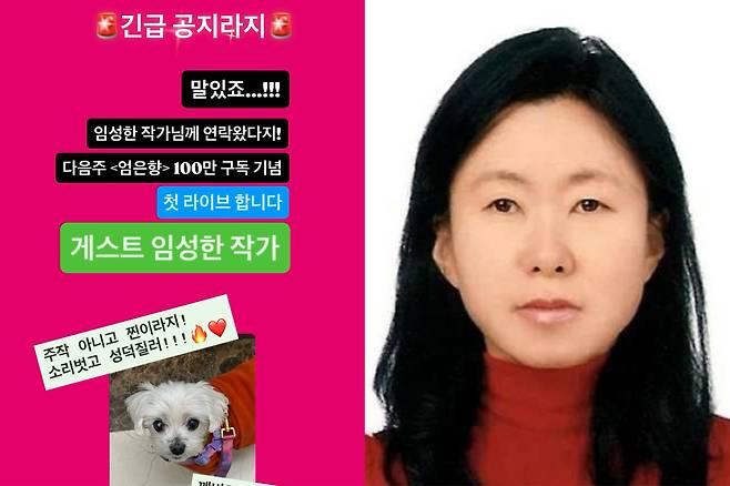 그동안 '신비주의'를 고집했던 임성한 작가가 유튜버 엄은향 채널에 출연을 예고했다. 엄은향 인스타그램 스토리 캡처, 임성한 작가 프로필 사진