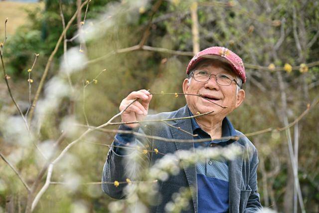 나태주 시인이 3일 충남 공주시 나태주풀꽃문화관 뜨락에서 생강나무 꽃봉오리를 지긋이 바라보고 있다. 공주=정다빈 기자