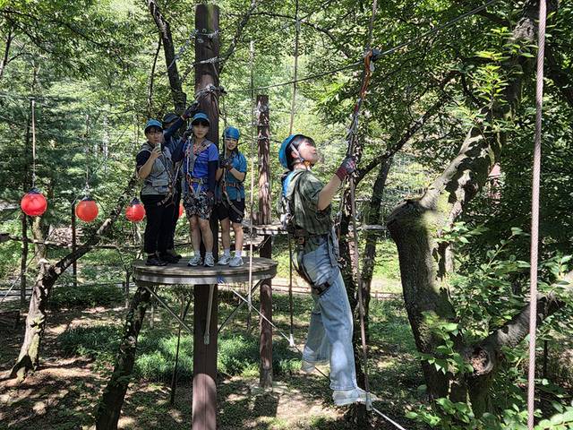 청소년이 지난해 관악산 모험숲에 참여해 공중 모험 코스를 체험하고 있다. 관악구청 제공