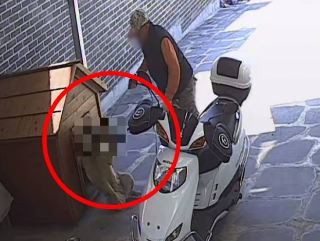 대전 대덕구 한 주택에 무단 침입해 마당에 있던 반려견을 산 채로 끌고 간 개장수가 경찰에 붙잡혔다. 인스타그램 캡처